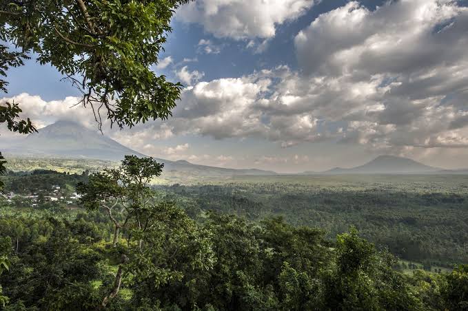 Création du Parc national des Virunga